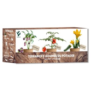 Nopalia® kit potager prêt à pousser – graines bio (tomate, courgette, aubergine)