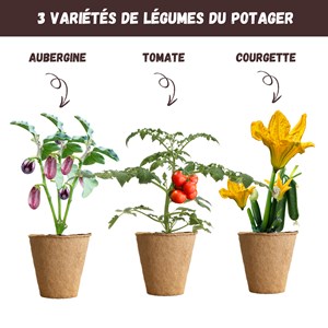 Nopalia® kit potager prêt à pousser – graines bio (tomate, courgette, aubergine)