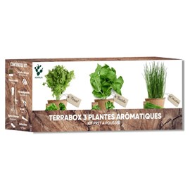 Nopalia® kit herbes aromatiques: basilic, persil, ciboulette, coriandre, romarin
