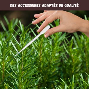 Nopalia® kit herbes aromatiques: basilic, persil, ciboulette, coriandre, romarin
