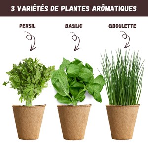 Nopalia® kit herbes aromatiques: basilic, persil, ciboulette, coriandre, romarin