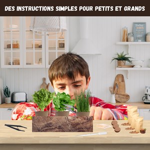 Nopalia® kit herbes aromatiques: basilic, persil, ciboulette, coriandre, romarin