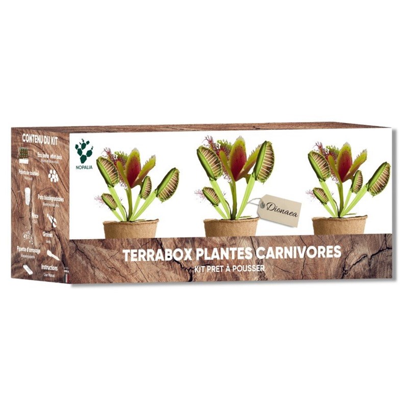 Nopalia® kit plantes carnivores – dionée attrape-mouche – kit complet