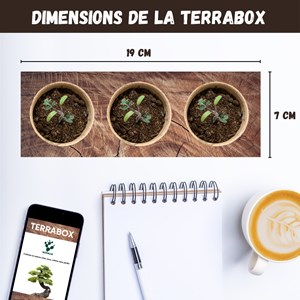 Nopalia® kit plantes carnivores – dionée attrape-mouche – kit complet