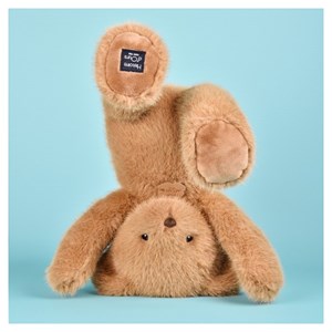 Ours histoire d'ours beige