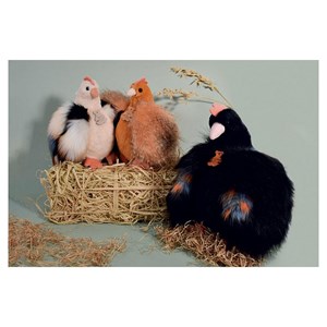 Les poulettes grand modele noir ho3163