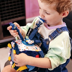 Cube d'activités astros le hibou