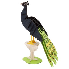 Maquette 3d en papier paon