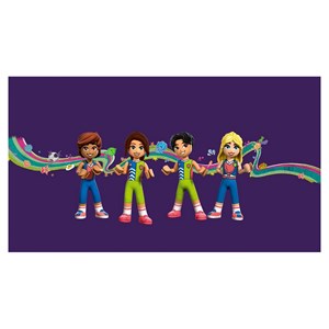 Lego friends le centre sportif