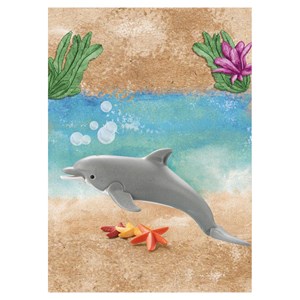 Dauphin et accessoires