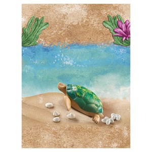 La tortue géante pochette