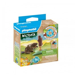 Castor et une souche d'arbre