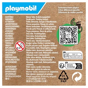 Castor et une souche d'arbre