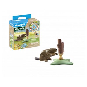 Castor et une souche d'arbre