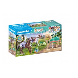 3 chevaux morgan, quarter horse & shagya