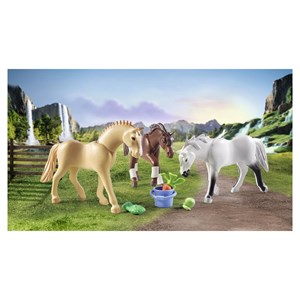 3 chevaux morgan, quarter horse & shagya