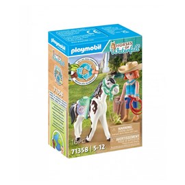 Ellie & son cheval sawdust