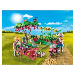 Starter pack jardin potager