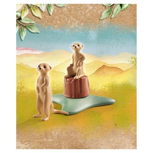 Suricates collection wiltopia