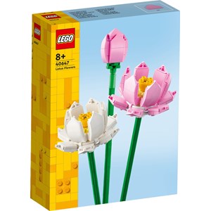 Lego botanicals  40647 Les fleurs de lotus LEGO® Iconic