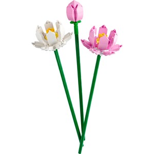 Lego botanicals  40647 Les fleurs de lotus LEGO® Iconic
