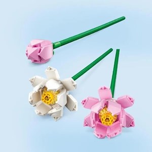 Lego botanicals  40647 Les fleurs de lotus LEGO® Iconic