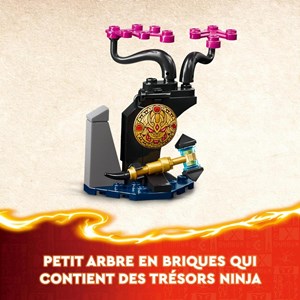 Lego ninjago egalt le maître dragon
