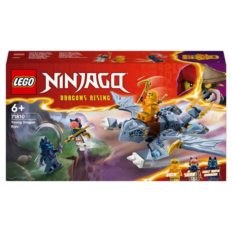 Lego ninjago le jeune dragon riyu