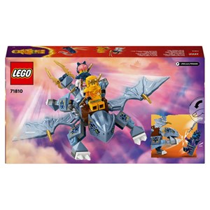 Lego ninjago le jeune dragon riyu