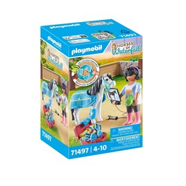 Therapeute et cheval