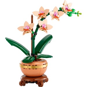 Lego botanicals - orchidée miniature - 10343
