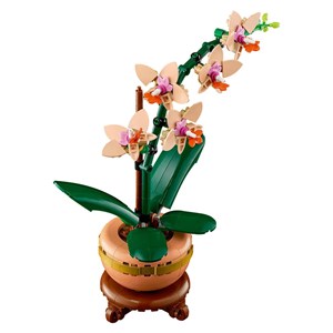 Lego botanicals - orchidée miniature - 10343