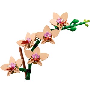 Lego botanicals - orchidée miniature - 10343