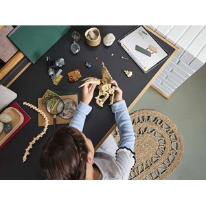 Lego jw - fossiles dinos : crâne tricératops - 76969