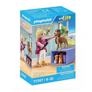 Toiletteuse avec caniche et accessoires