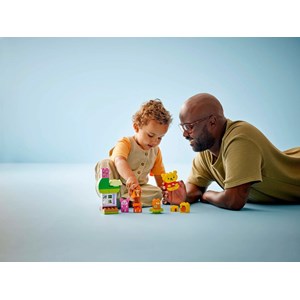 Lego duplo - anniversaire winnie - 10457