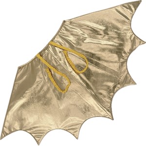 Drago ailes de dragon tu - déguisement Unique