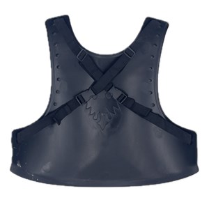 Armure - déguisement Unique