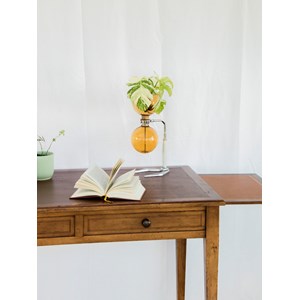 Edouard, le bureau en cuir n°581