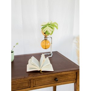 Edouard, le bureau en cuir n°581