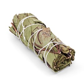 Bâton d'eucalyptus pour fumigation 100mm - fraîcheur et souffle - bivea