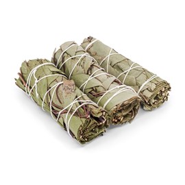 Lot de 3 bâtons d'eucalyptus 100mm - fraîcheur et souffle - bivea