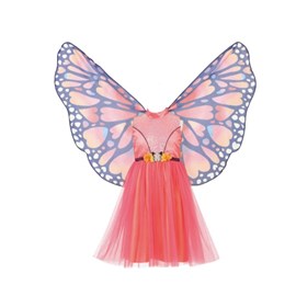 Robe papillon et ailes papillon 8-10 ans