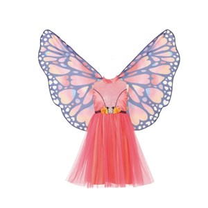 Robe papillon et ailes papillon 8-10 ans