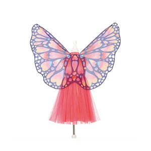 Robe papillon et ailes papillon 8-10 ans