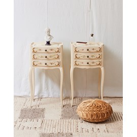 Paire de chevets anglais peints n°1225