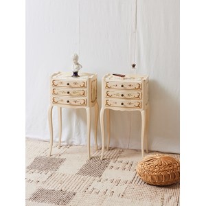 Paire de chevets anglais peints n°1225