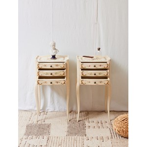 Paire de chevets anglais peints n°1225