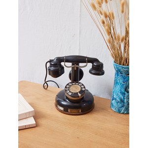 Magnifique téléphone ancien n°609