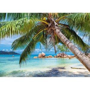 Puzzle 1000 pièces plage tropicale